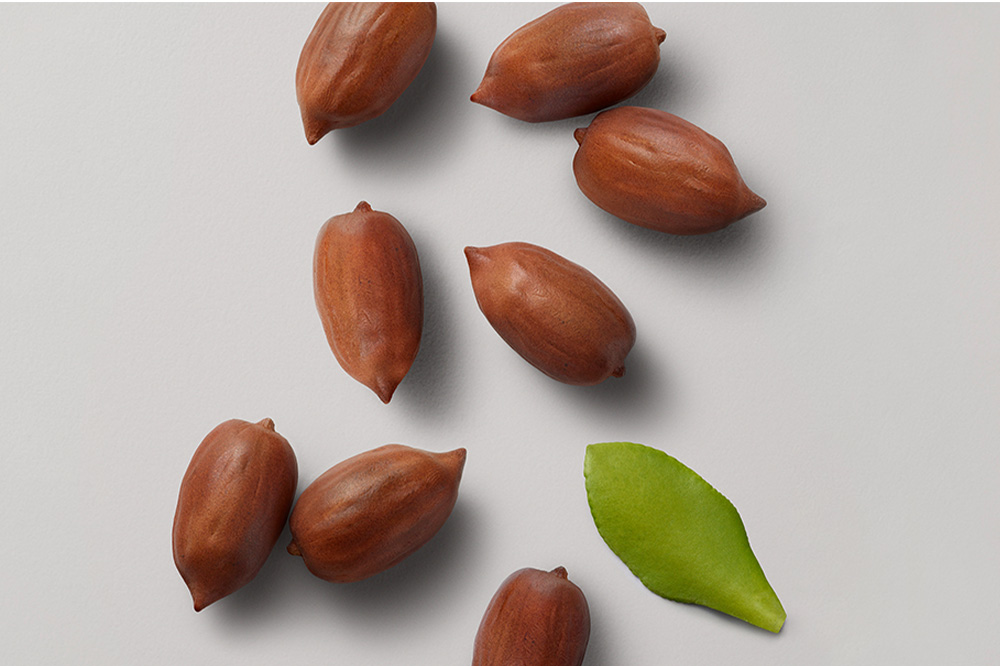 jojoba perlen