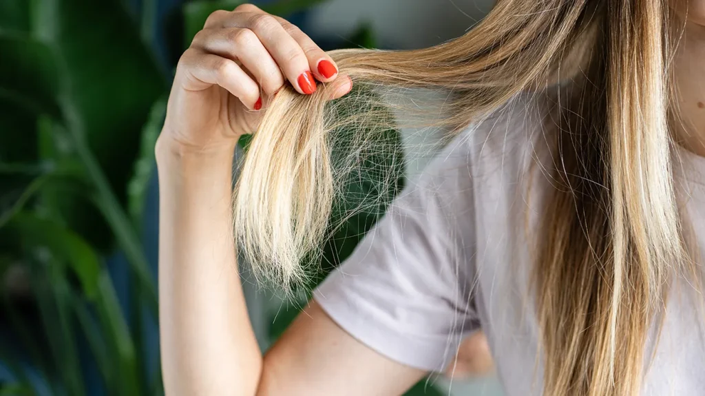 ursachen trockene haare